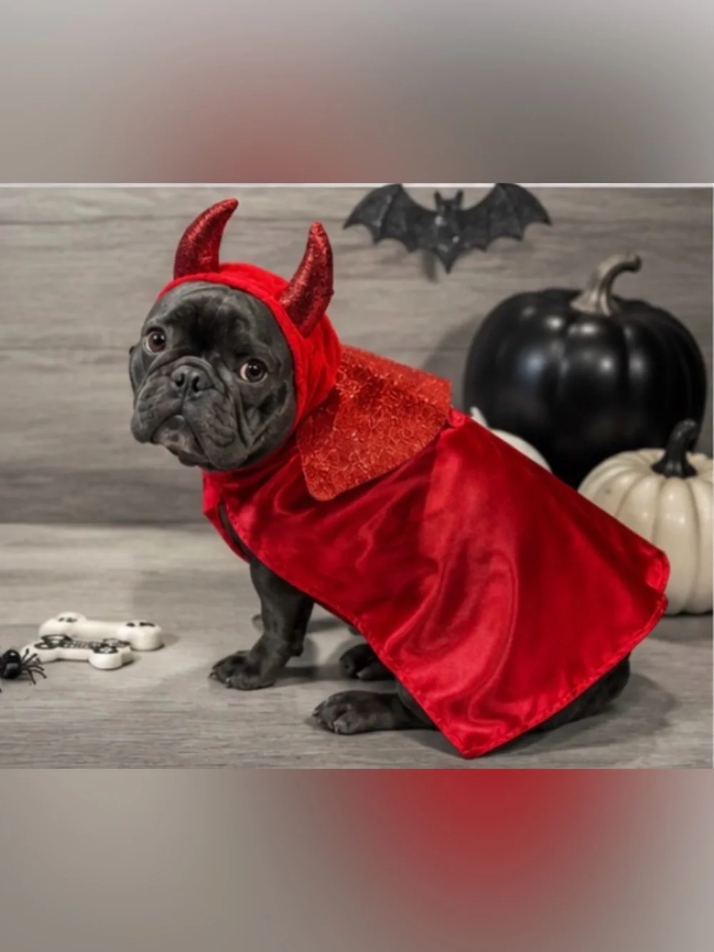 “Handsome Devil” Dog Halloween Costume w/ Cape + Glitter Horn Hood | Size: L/XL